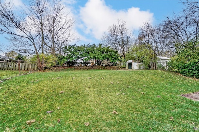 view of yard with a storage shed