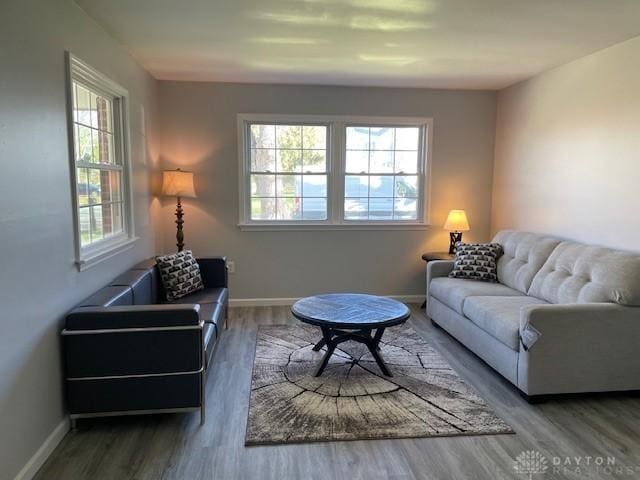 living room featuring wood-type flooring and a wealth of natural light