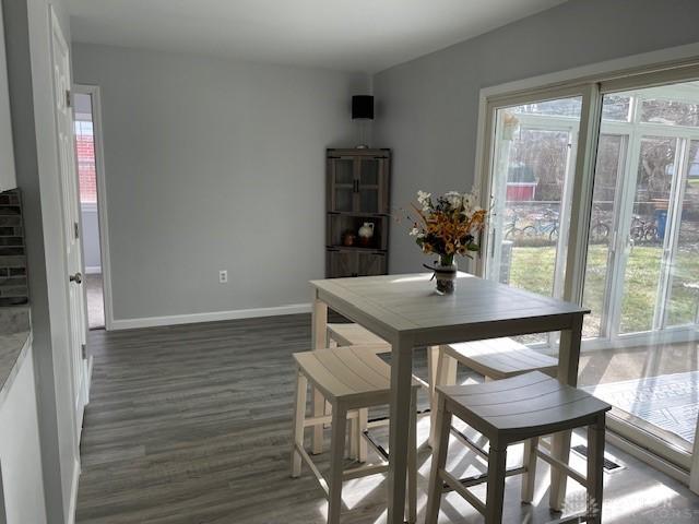 dining room featuring dark hardwood / wood-style flooring