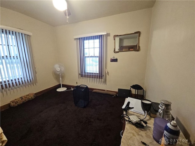 interior space with ceiling fan and carpet flooring