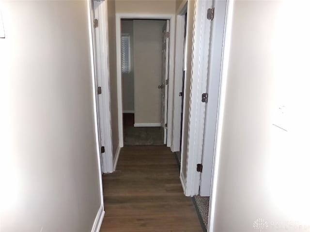 hallway featuring dark hardwood / wood-style flooring