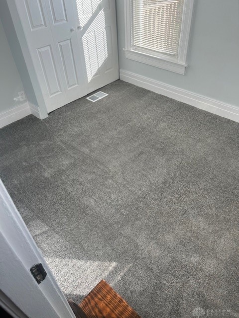 details with carpet flooring