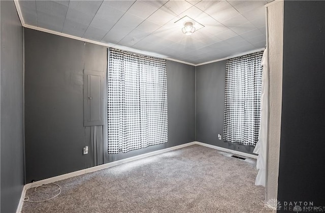 spare room featuring carpet flooring and ornamental molding