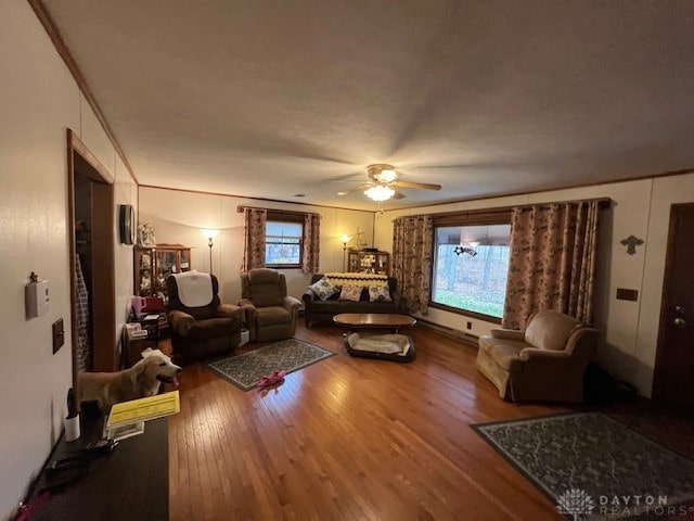 living room featuring ceiling fan, wood-type flooring, and a textured ceiling