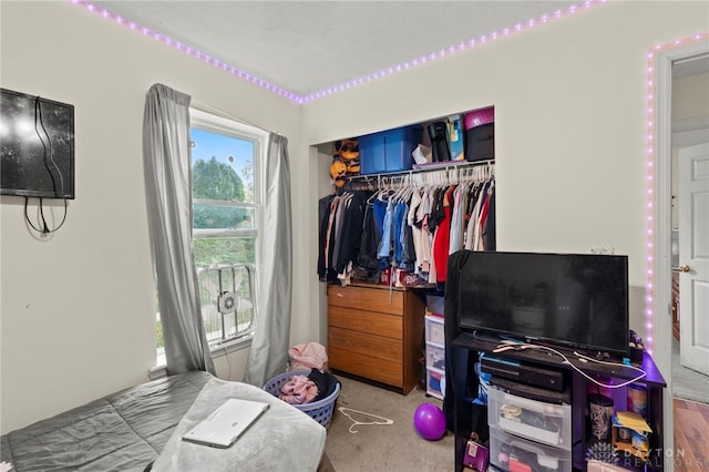 bedroom with carpet flooring, a closet, and a textured ceiling