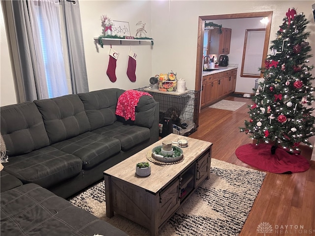 living room featuring hardwood / wood-style floors and sink