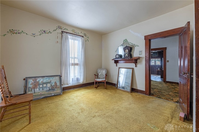 sitting room featuring carpet floors