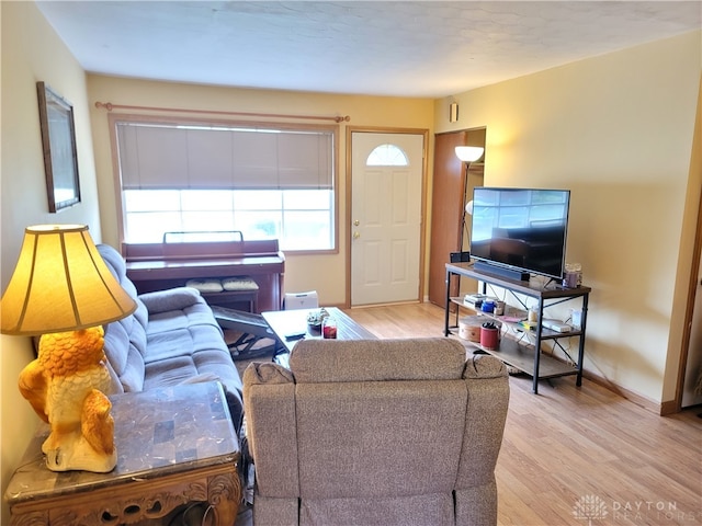 living room with light hardwood / wood-style floors