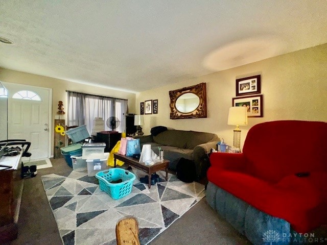 living room featuring carpet and a textured ceiling