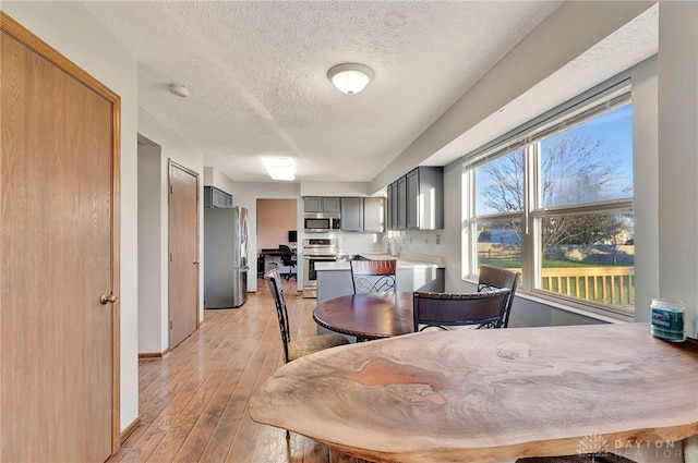 dining area with sink, light hardwood / wood-style floors, and a textured ceiling