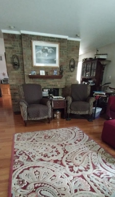 living room featuring wood-type flooring