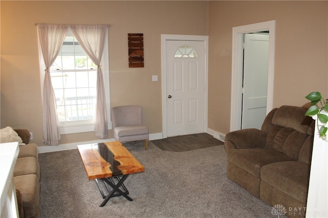 living room featuring carpet flooring