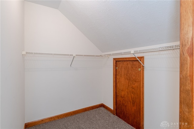 walk in closet with carpet floors and vaulted ceiling