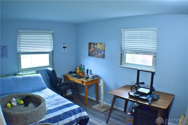 bedroom with hardwood / wood-style floors and multiple windows