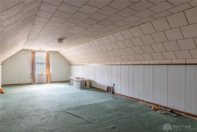 additional living space featuring light colored carpet and lofted ceiling