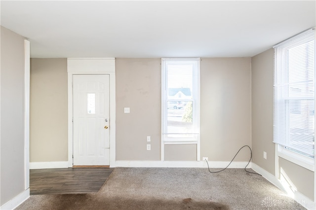 entrance foyer featuring a wealth of natural light and carpet floors