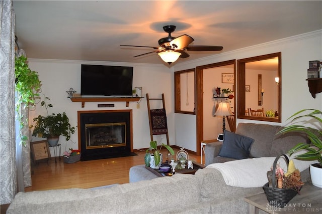 living room featuring wood-type flooring, ceiling fan, and ornamental molding