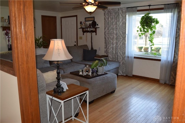 living room with light wood-type flooring, ceiling fan, and crown molding