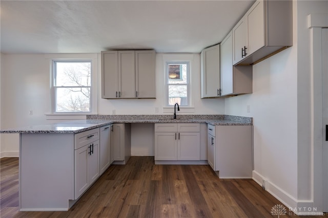 kitchen with light stone countertops, dark hardwood / wood-style flooring, and sink