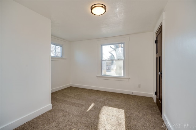 unfurnished room with carpet flooring and plenty of natural light