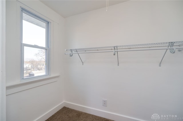 walk in closet featuring carpet