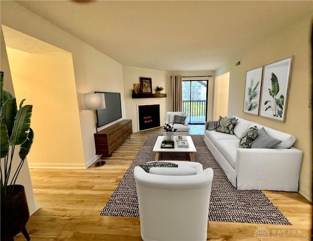 living room with wood-type flooring