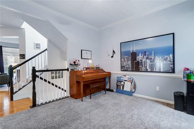 misc room featuring carpet floors and ornamental molding