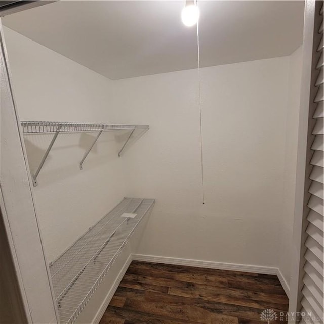 walk in closet featuring dark hardwood / wood-style floors