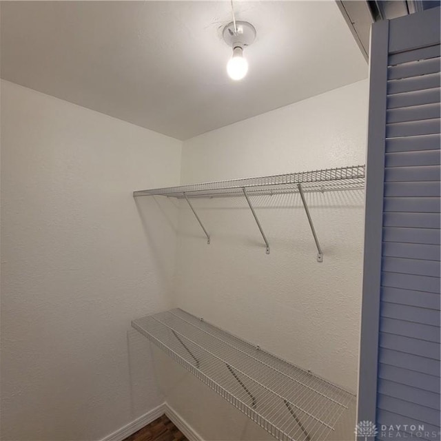 walk in closet featuring hardwood / wood-style flooring