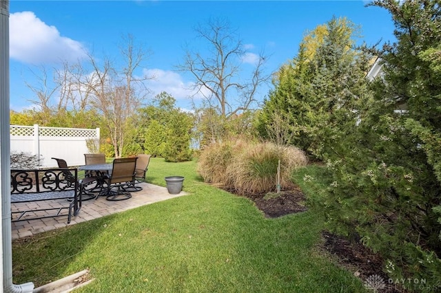 view of yard with a patio area