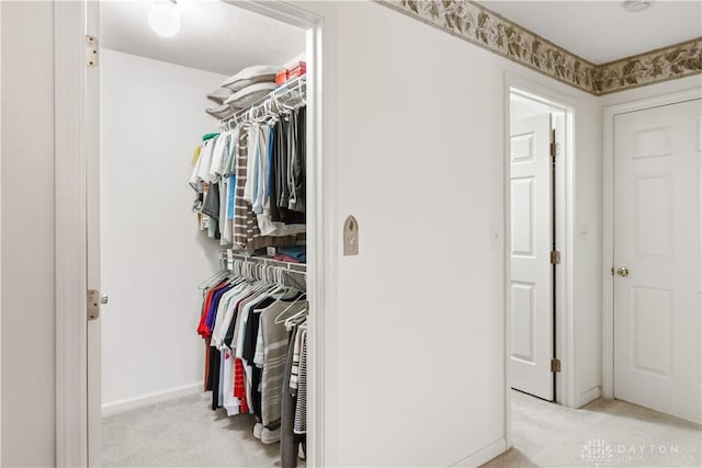 spacious closet with light carpet