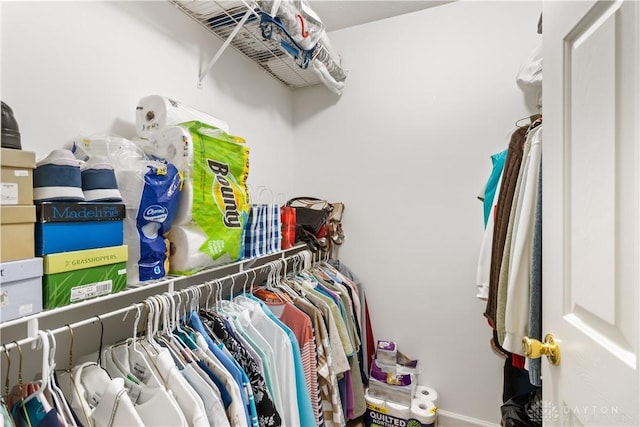 view of spacious closet