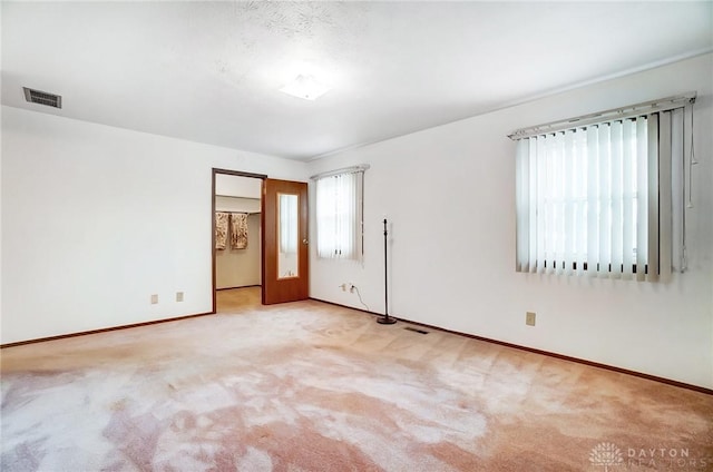 spare room with light carpet and a wealth of natural light