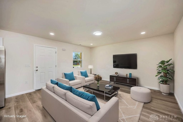 living room featuring wood-type flooring