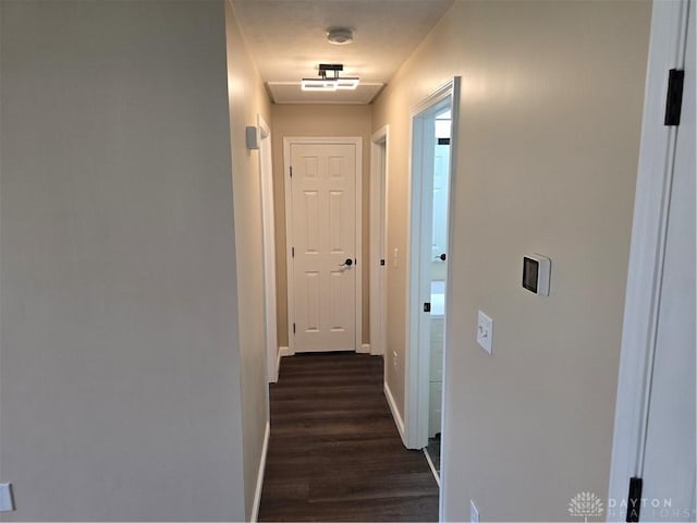 hall featuring dark hardwood / wood-style flooring