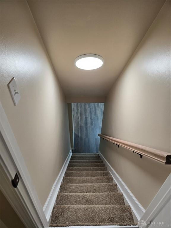 staircase with carpet floors