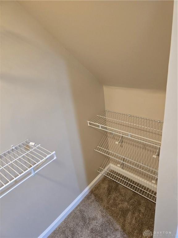 spacious closet featuring carpet floors