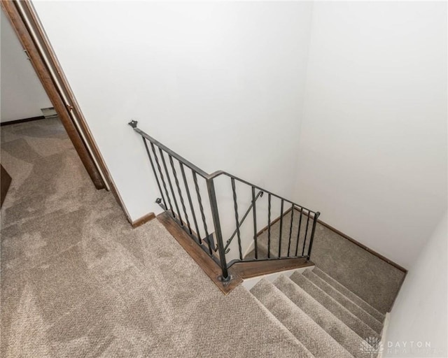 stairway featuring carpet