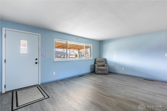 foyer featuring wood-type flooring and a wealth of natural light