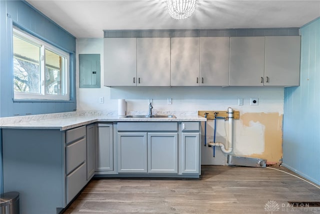 kitchen featuring gray cabinetry, sink, electric panel, and light hardwood / wood-style flooring