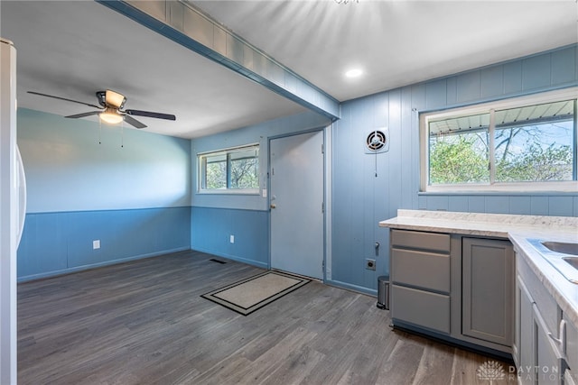 kitchen featuring dark hardwood / wood-style flooring, ceiling fan, plenty of natural light, and gray cabinets