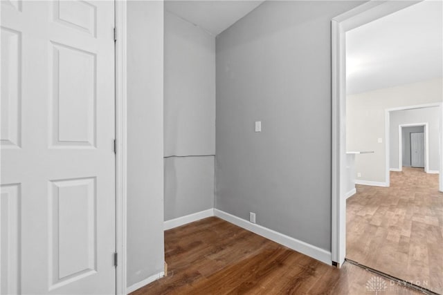 hall featuring wood-type flooring