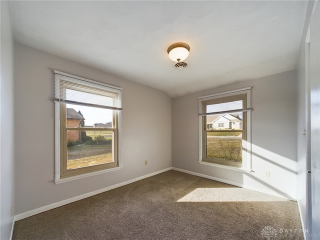 spare room featuring plenty of natural light and carpet