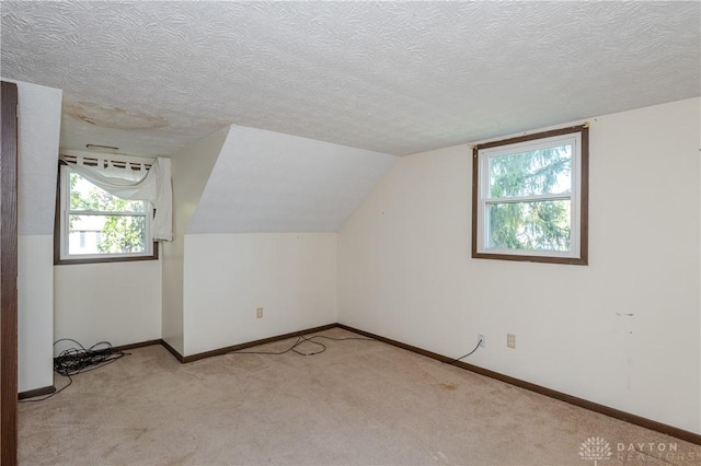 additional living space with light carpet, a textured ceiling, and lofted ceiling