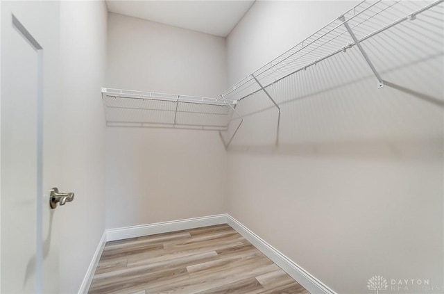 spacious closet with wood-type flooring