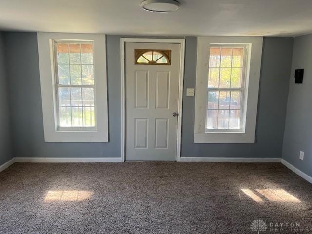 carpeted foyer entrance featuring a healthy amount of sunlight