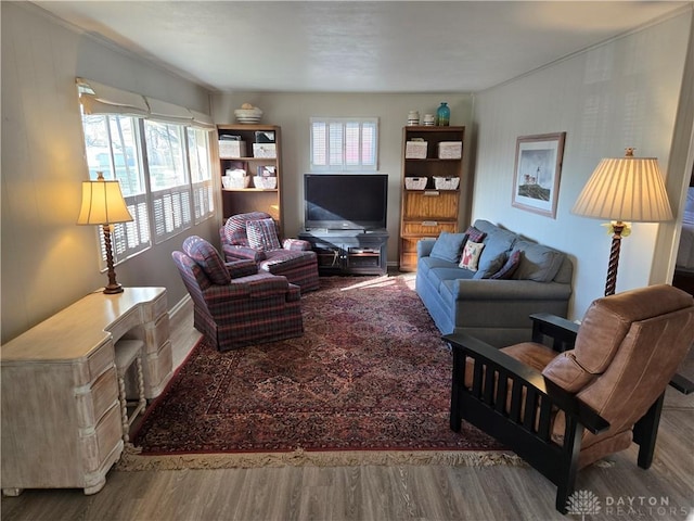 living room featuring a healthy amount of sunlight and wood-type flooring