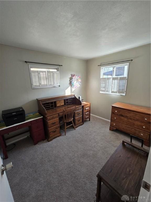 office space featuring carpet flooring and a textured ceiling