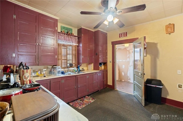 kitchen with sink, ornamental molding, and ceiling fan