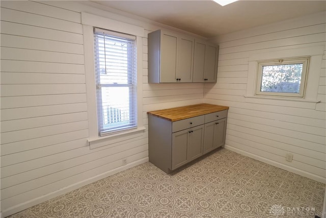 washroom with wooden walls